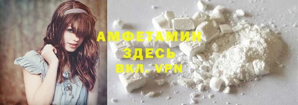 прущие грибы Абаза