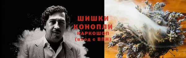 прущие грибы Абаза