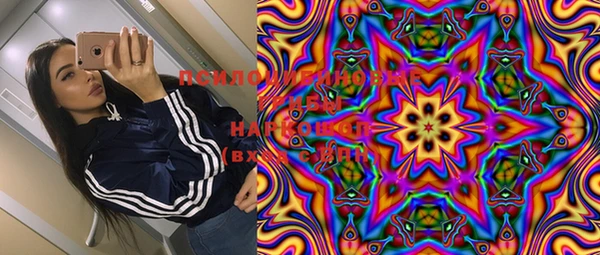 эйфоретик Абинск