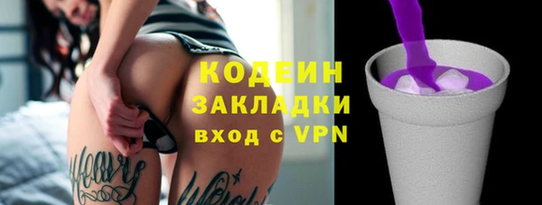 прущие грибы Абаза