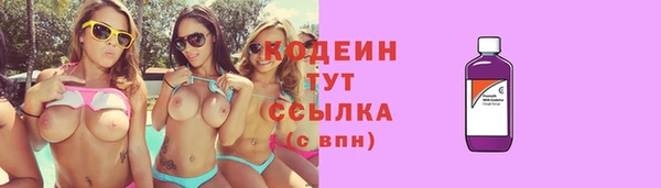 прущие грибы Абаза