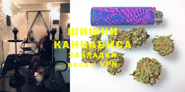 прущие грибы Абаза