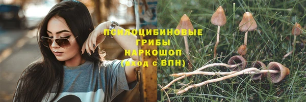 эйфоретик Абинск