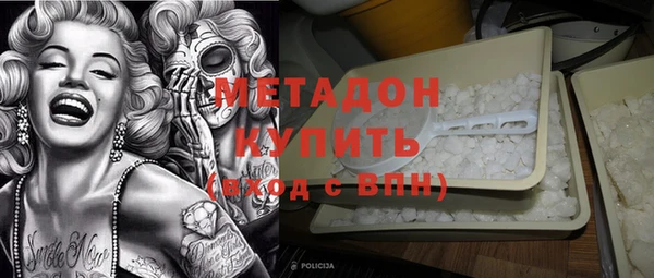 прущие грибы Абаза
