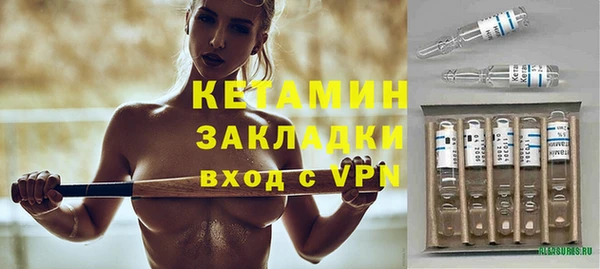 прущие грибы Абаза