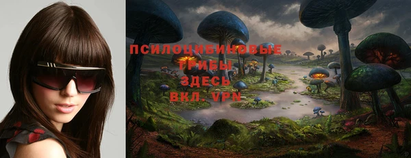 эйфоретик Абинск